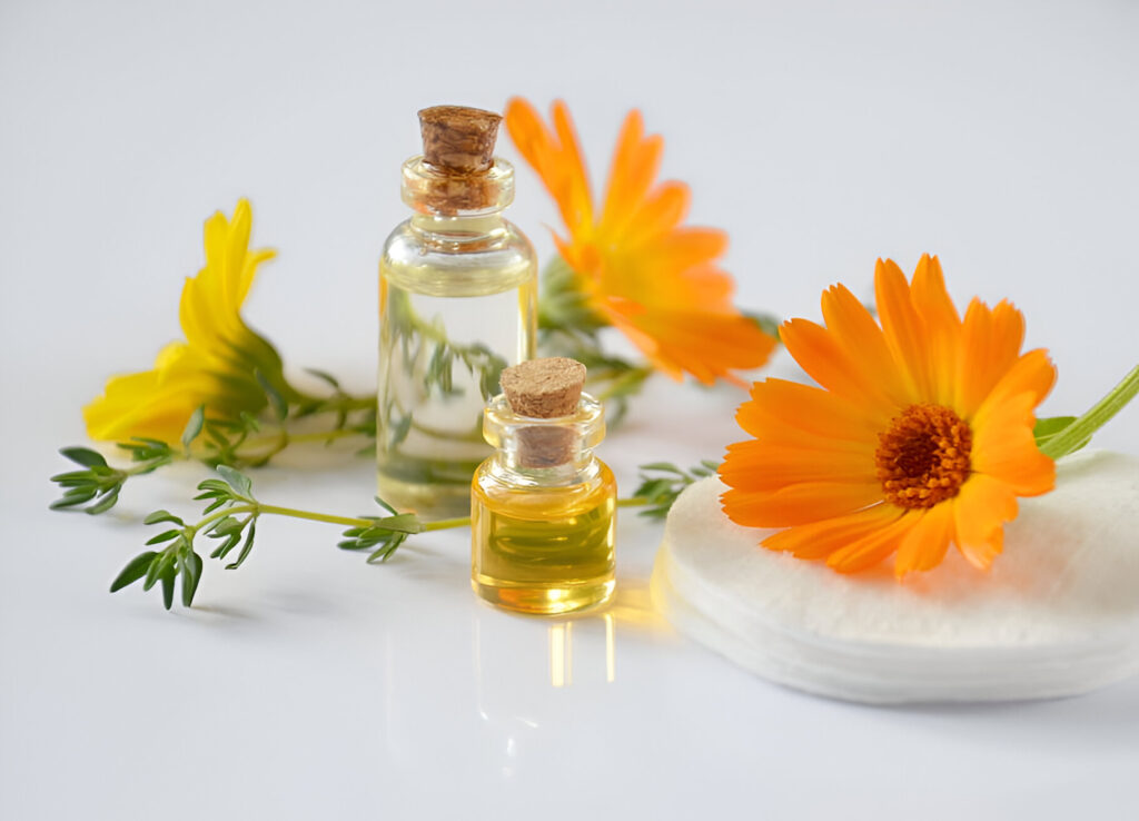 cosmetology-oil-cosmetic-calendula-cosmetics